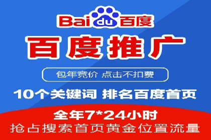 百度竞价广告投放策略：案例分析及效果评估